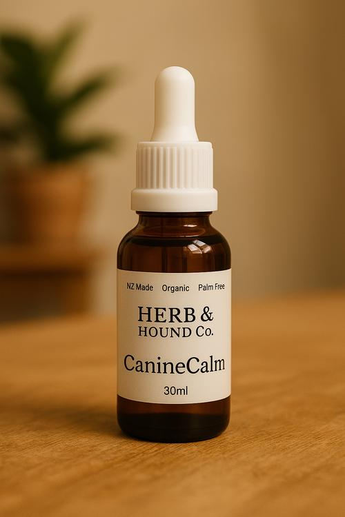 Canine Calm